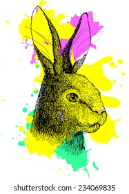 Vector hand drawn ink portrait colorful rabbit portrait isolated on white background. Easter hare character. Bunny close up. Wild animal illustration. Paint drops.