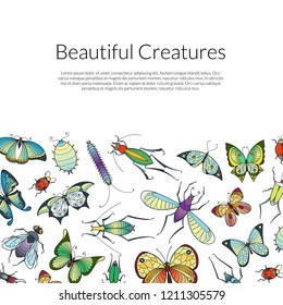 Vector hand drawn insects background with place for text illustration
