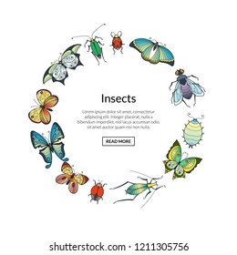 Vector hand drawn insects in circle shape with place for text illustration
