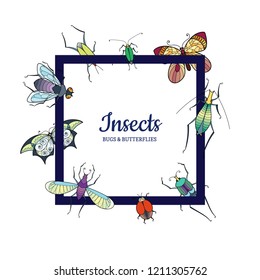 Vector hand drawn insects flying around frame with place for text illustration