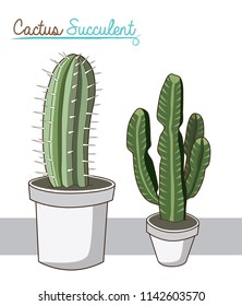 Vector hand drawn isolated cactus in pots on white background. Illustration.