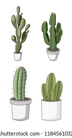 Vector hand drawn isolated cactus in pots on white background. Illustration.