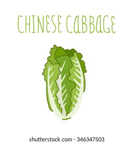 Vector hand drawn isolated chinese cabbage with the inscription. Healthy lifestyle card. Eco friendly