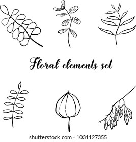 Vector hand drawn isolated floral elements. Doodle stylized graphic.