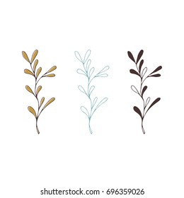 Vector Hand Drawn Isolated Floral Elements, Branches. Simple Modern Design, Scandinavian Style. For Holiday Cards, Decorations, Templates. Part Of A Large Winter Collection.