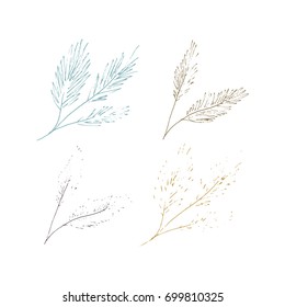 Vector hand drawn isolated floral elements, fir branches. Simple modern design, scandinavian style. For holiday cards, decorations, templates. Part of a large winter collection.