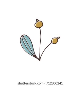 Vector hand drawn isolated floral elements, branches with berries. Simple modern design, scandinavian style. For holiday cards, decorations, templates. Part of a large winter collection.