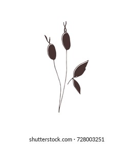 Vector hand drawn isolated floral elements, branches with berries. Simple modern design, scandinavian style. For holiday cards, decorations, templates. Part of a large winter collection.