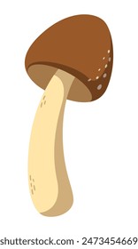 Vector hand drawn isolated mushroom