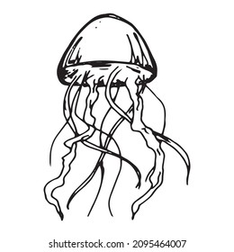 Ilustración de medusas dibujada a mano por vectores. Esbozo de medusa suave aislado de fondo blanco. Para impresión, web, tarjeta de felicitación, diseño, decoración.