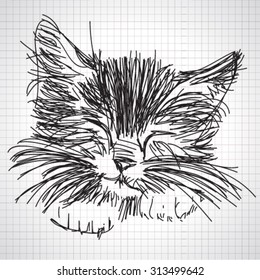 Vector hand drawn kitten