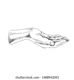 Vector hand drawn lavender hand gestures Illustration. Detailed retro style image. Vintage sketch element for labels, packaging and cards design. Modern background.