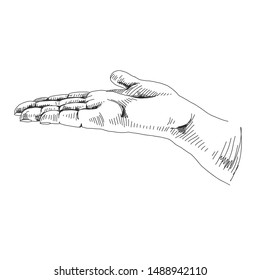 Vector hand drawn lavender hand gestures Illustration. Detailed retro style image. Vintage sketch element for labels, packaging and cards design. Modern background.