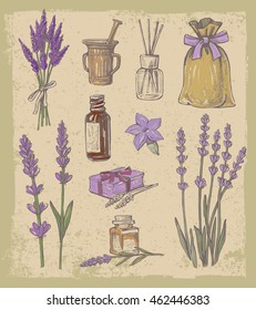 vector hand drawn lavender set on vintage background