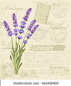 Vector Hand Drawn Lavender Set On Vintage Background