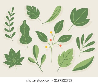 Vector hand drawn leaves. Vector isolated.