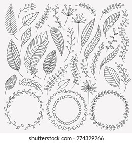 Vector hand drawn leaves set  Collection Vintage elements  Greeting stylish illustration leaves  flowers  berries  twigs  wreaths  Good for card  invitation  poster  web page design  journaling