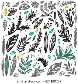 Vector hand drawn leaves set