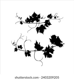 vector hand drawn leaves silhouette illustration, tropical flowers, flower drawn, leaves silhouette,