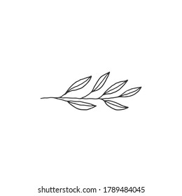 Vector hand drawn leaves. Simple floral icon. For logo designs, for branding and business identity. Isolated object.
