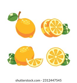 Colección de limoneros dibujados a mano