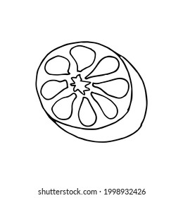 Vektor handgezeichnete Zitrone. Zitronensymbol im Doodle-Stil. Tropische Früchte. Perfekt für Sommerdesign. Lemon-Vektorgrafik-Illustration für Print, Web, Mobile und Infografiken.