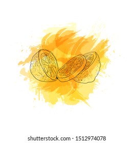 Vector Hand Drawn Lemon on Bright Yellow Watercolor Splash Isolated on White Background, Group of Lemons, Citrus Sketch.