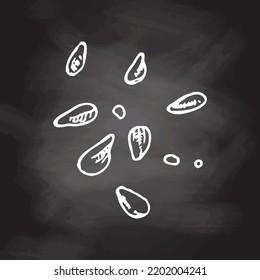 Vector hand drawn lemon seeds set. Engraved style illustration. Detailed  ink drawing. White sketch isolated on black chalkboard. Icons and elements for print, label.