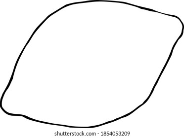 Vector hand drawn lemon set