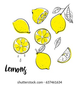 Vector hand drawn lemon. Tropical fruit. Sketch. Doodle. Perfect for summer design.