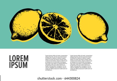 Vector hand drawn lemon. Tropical fruit. Sketch. Pop art. Healthy eating vector concept with lemons and copyspace. Diet and organic food template. 