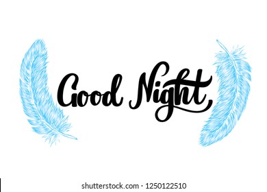 Vector hand drawn lettering Good Night and line art style feather for poster, banner, logo, icon. Fluffy feathers on transparent background. Lightweight sketch illustration, for patterns. Elegant font