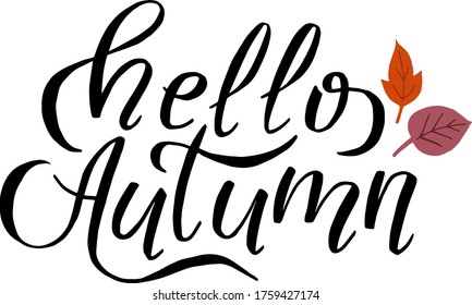 
vector hand drawn lettering hello autumn black on a white background with autumn orange and pink leaves