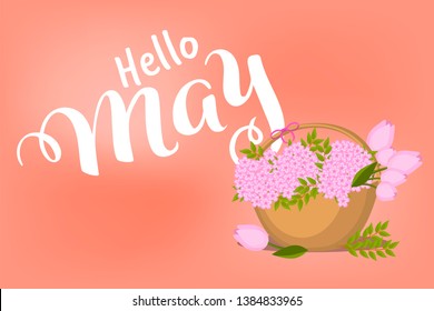 Vector hand drawn lettering, quote "Hello May" for poster or banner or greeting card. Celebration text isolated  on blurred pink background. Spring typography with basket of flowers