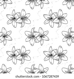 Vector hand drawn lily seamless pattern