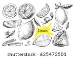 Vector hand drawn lime or lemon set. Whole lemon, sliced pieces, half, leafe and seed sketch. Fruit engraved style illustration. Detailed citrus drawing. Great for water, juice, detox drink