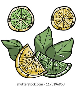 Vector hand drawn lime or lemon set with leaves. Illustration for food packaging, market label, fruit design