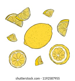 Vector hand drawn lime or lemon set. Whole lemon, sliced pieces, half, leafe and seed sketch. Fruit engraved style illustration. Detailed citrus drawing. Great for water, juice, detox drink