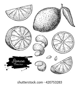 Vector hand drawn lime or lemon set. Whole lemon, sliced pieces half, leave and seed sketch. Fruit engraved style illustration. Detailed citrus drawing. Great for water, detox drink, natural cosmetics