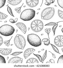 Vector hand drawn lime and lemon seamless pattern. Tropical summer citrus fruit engraved style background. Detailed food drawing. Great for summer decor or detox program