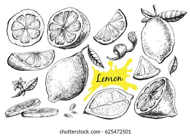 Vector hand drawn lime or lemon set. Whole lemon, sliced pieces, half, leafe and seed sketch. Fruit engraved style illustration. Detailed citrus drawing. Great for water, juice, detox drink