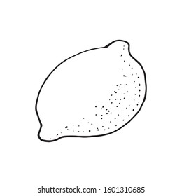 Vector hand drawn lime set. Whole lime, sliced pieces, half, leaf and seed sketch. Vintage retro style drawing for tea, juice, cosmetics. Tropical summer fruit isolated on a white background.