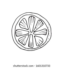 Vector hand drawn lime set. Whole lime, sliced pieces, half, leaf and seed sketch. Vintage retro style drawing for tea, juice, cosmetics. Tropical summer fruit isolated on a white background.