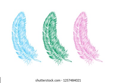 Vector hand drawn line art style feather for poster, banner, logo, icon. Set of colorful fluffy feathers on transparent background in realistic style. Lightweight sketch illustration, for patterns