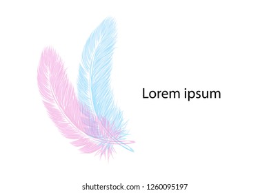 Vector hand drawn line art style feather for poster, banner, logo, icon. Fluffy feathers on transparent background in realistic style. Lightweight sketch illustration, for patterns