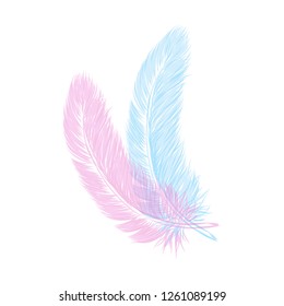 Vector hand drawn line art style feather for poster, banner, logo, icon. Fluffy feathers on transparent background in realistic style. Lightweight sketch illustration, for patterns