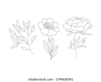 Imagen de la línea dibujada a mano por vectores. Dibujo de silueta para tu diseño, postales, banners, logotipos y otros.