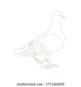 Vector hand drawn line art picture. Silhouette drawing for your design, postcards, banners, logos and other. Contour elegant zodiac sign.
