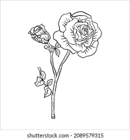 Vector Hand Drawn Line Art Drawing of Flower. Minimalist Trendy Contemporary Floral Design Perfect for Wall Art, Prints, Social Media, Posters, Invitations, Branding Design.