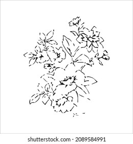 Vector Hand Drawn Line Art Drawing of Flower. Minimalist Trendy Contemporary Floral Design Perfect for Wall Art, Prints, Social Media, Posters, Invitations, Branding Design.